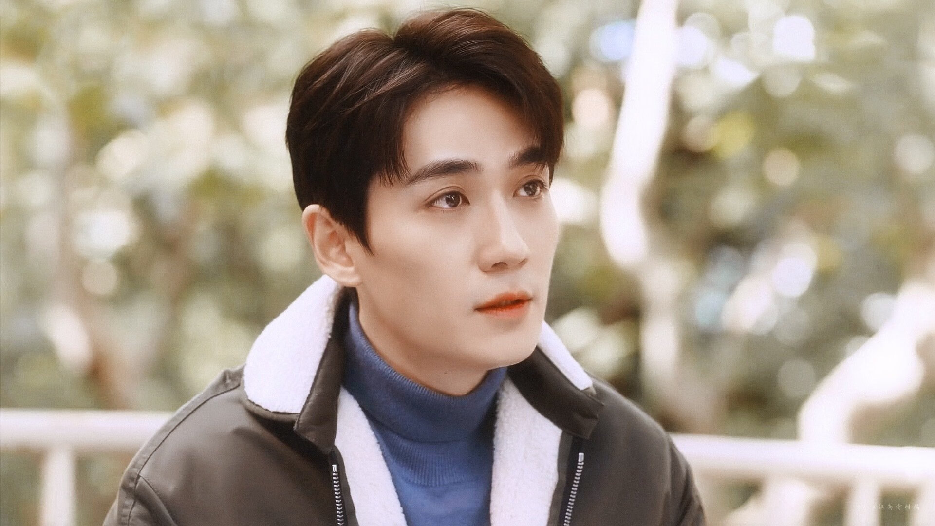 绿茵场与球台,一场关于个体与团队的伟大共振