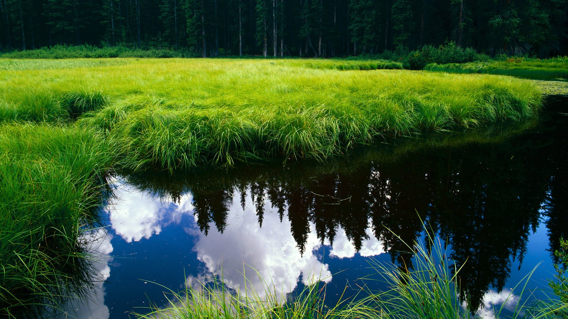 中国长城击碎美式神话！平行宇宙篮球世界杯，山西队竟这样稳稳拿下勇士队，浓眉在美加墨三国战场接管比赛！
