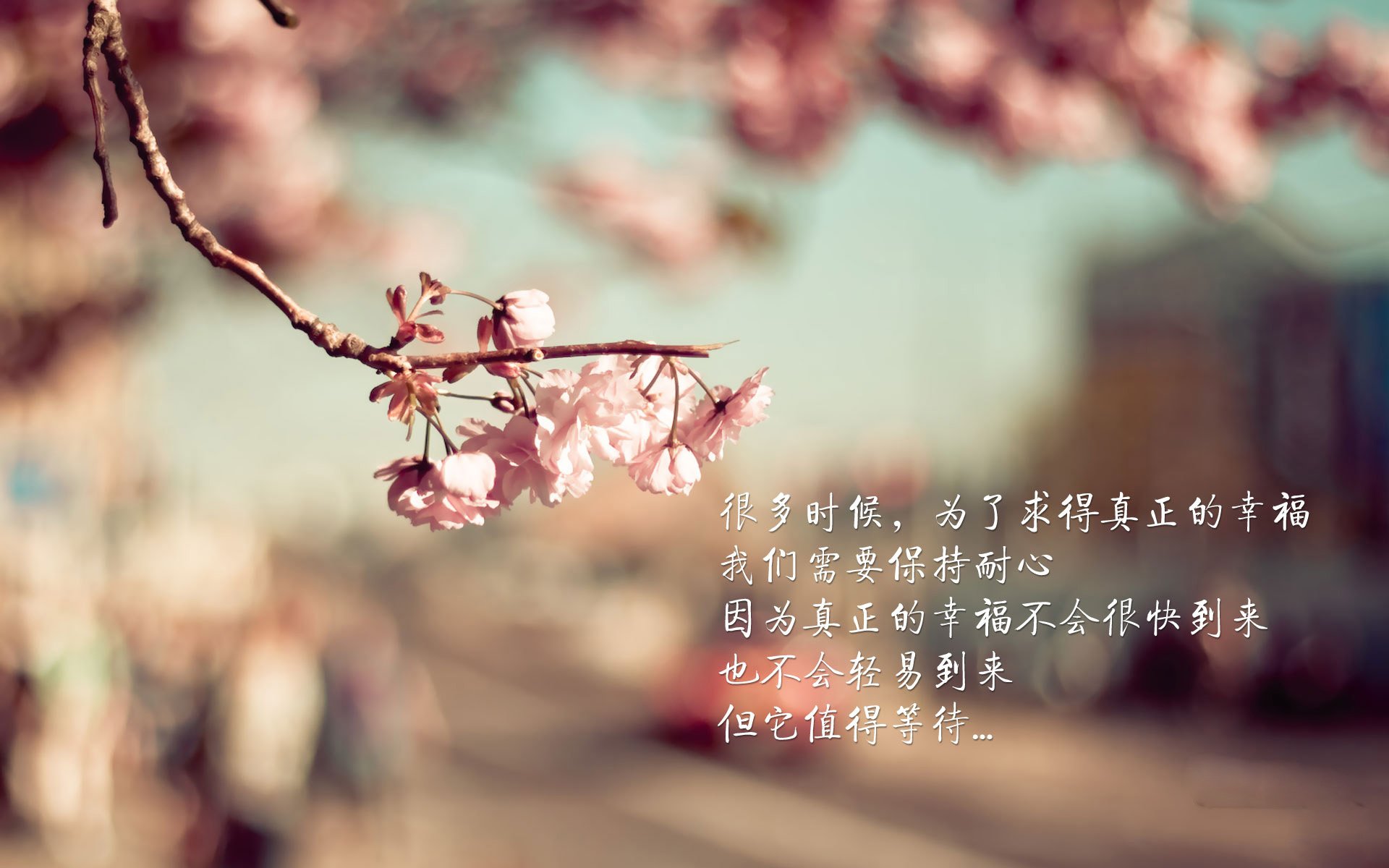 绞杀与飞腾，当活塞遇上超音速