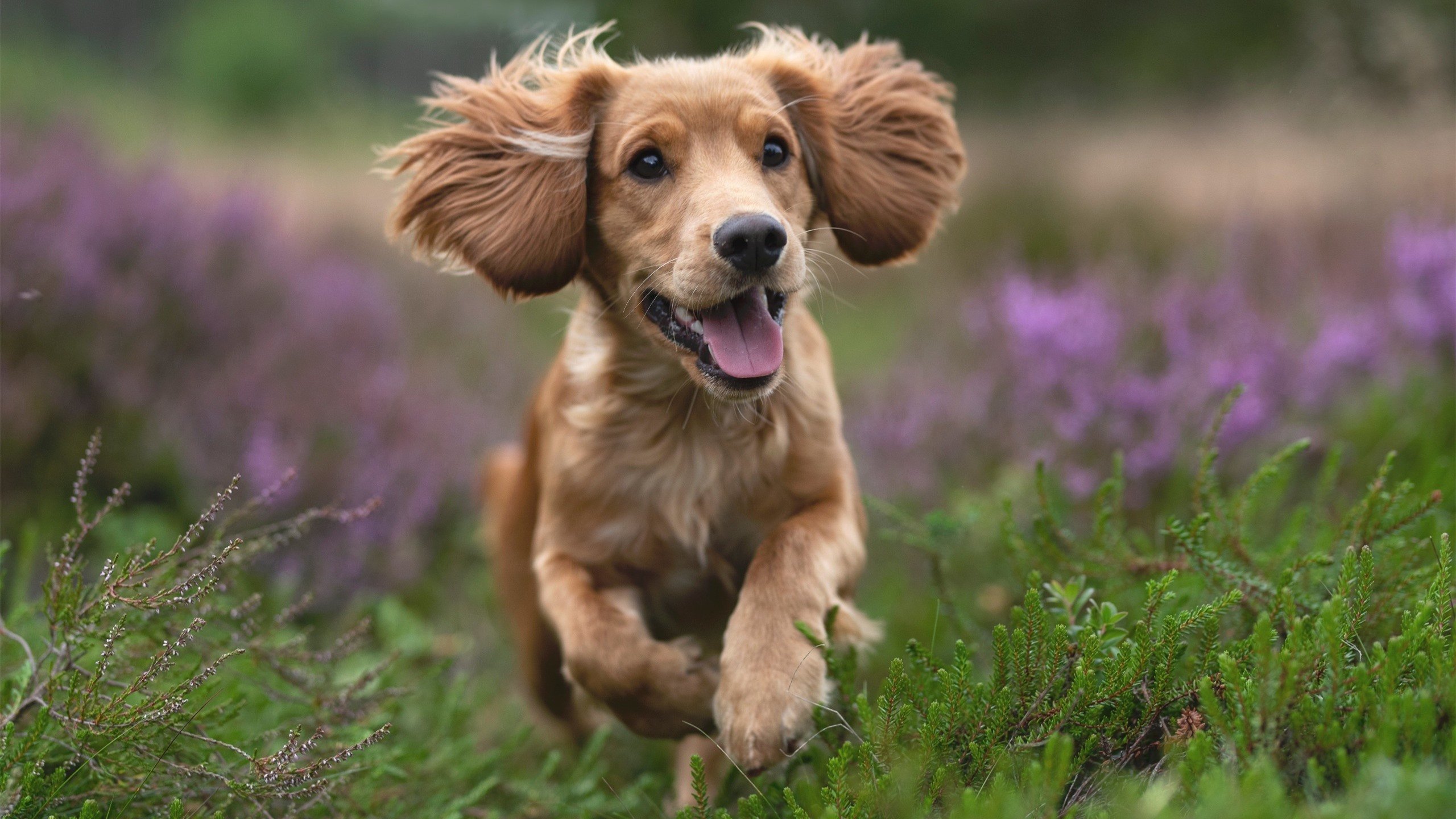 不期而遇，当争冠战与垫底翻盘在同一夜降临