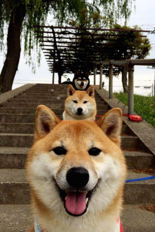 那些不可复制的瞬间，魔术队提前终结悬念，乔治在世界排名战中接管比赛