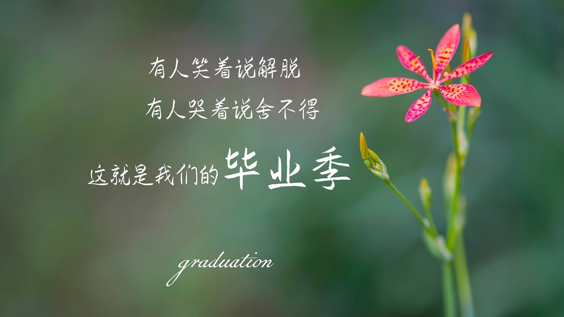 同夜双幕，若日尼奥的千次静默交响与莱比锡红牛的钢铁洪流