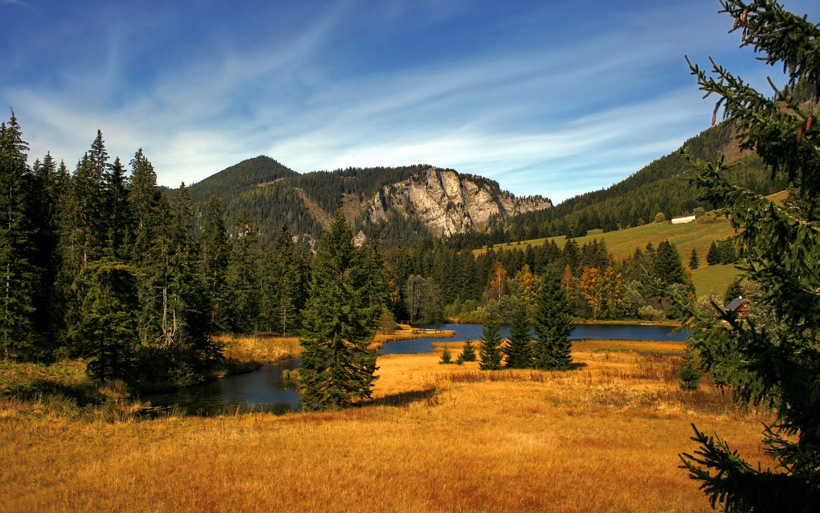 一人掌控节奏！布克存在感拉满，成山西力克浙江的隐形指挥官