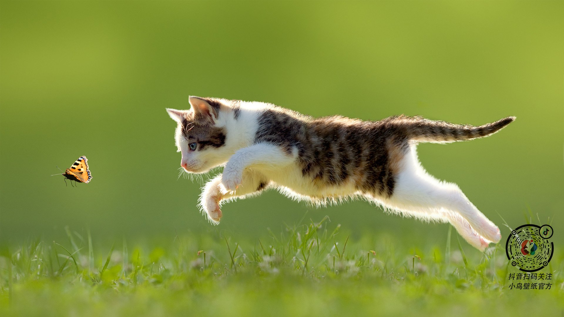 撕裂黑夜的火光，筑就铁壁的奇才，利拉德的关键时刻与华盛顿的防守艺术