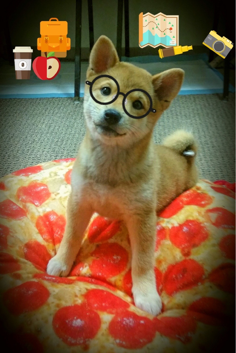 爱游戏tv-单刀时刻，当喀麦隆的绝杀遇见基耶萨的蜕变