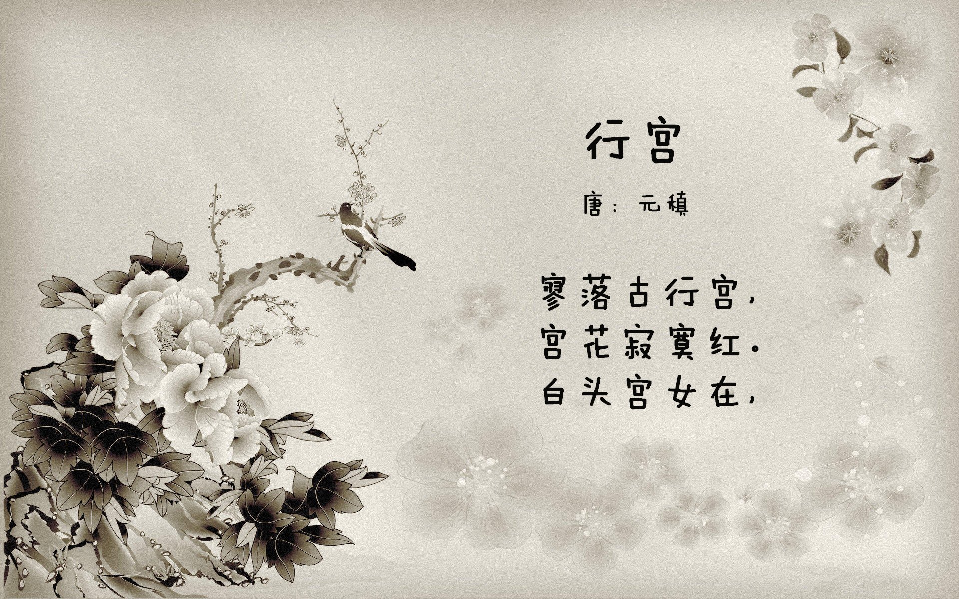 橙衣风暴,2026世界杯D组焦点战,莱万多夫斯基一剑封喉,荷兰力克葡萄牙